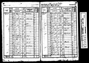 1841 census return for Neiles and George Billany.