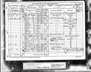 Neiles Boynton Billany and Family 1881 Census Hull.